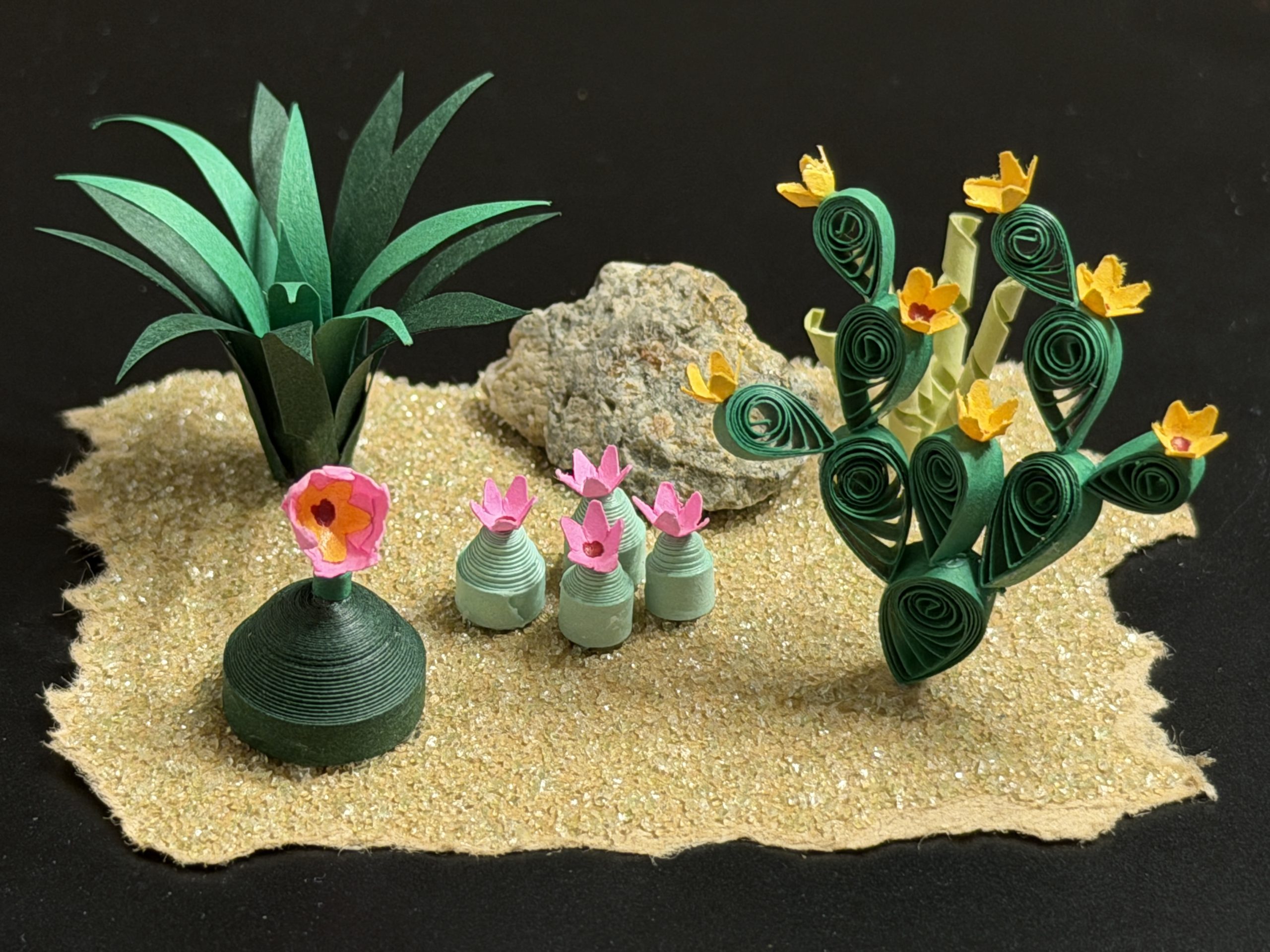 Cactus Garden with large prickly pear.