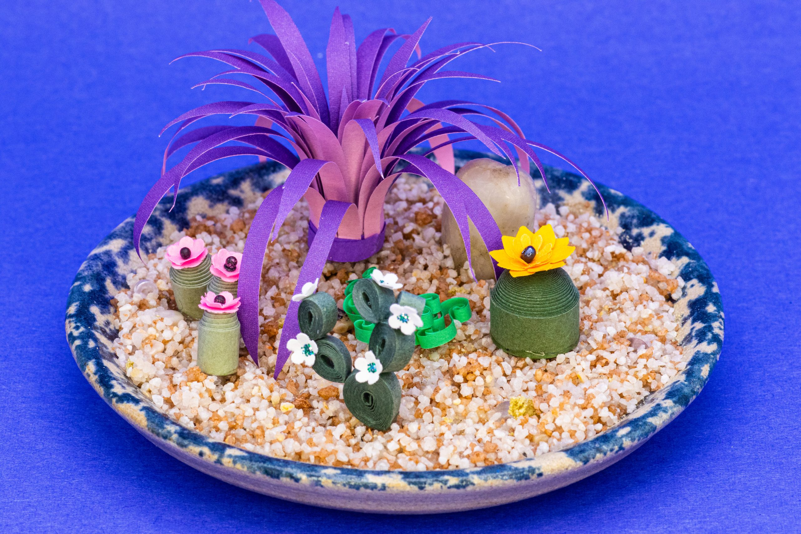 Cactus Garden with large purple plant.