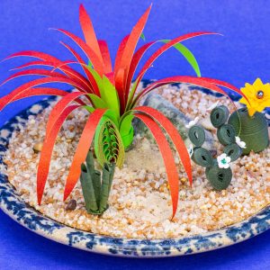Cactus Garden with large red plant.