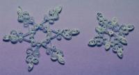 170066-0110 SnowFlakes