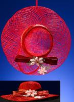 170310-Hat 8a 2 view