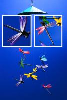 170503-0229 Mobile Dragonfly