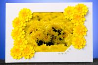 170636-0058 Card daisy yellow