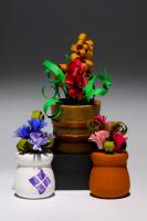 170835-0285 Plant Trio