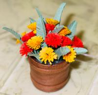 170841-0277 Plant PomPom 1