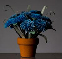 170842-0276 Plant003