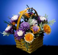 170880-0281 Plant PomPom 5