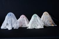 171017-0900 IMG 5679