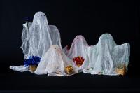 171021-0900 IMG 5686